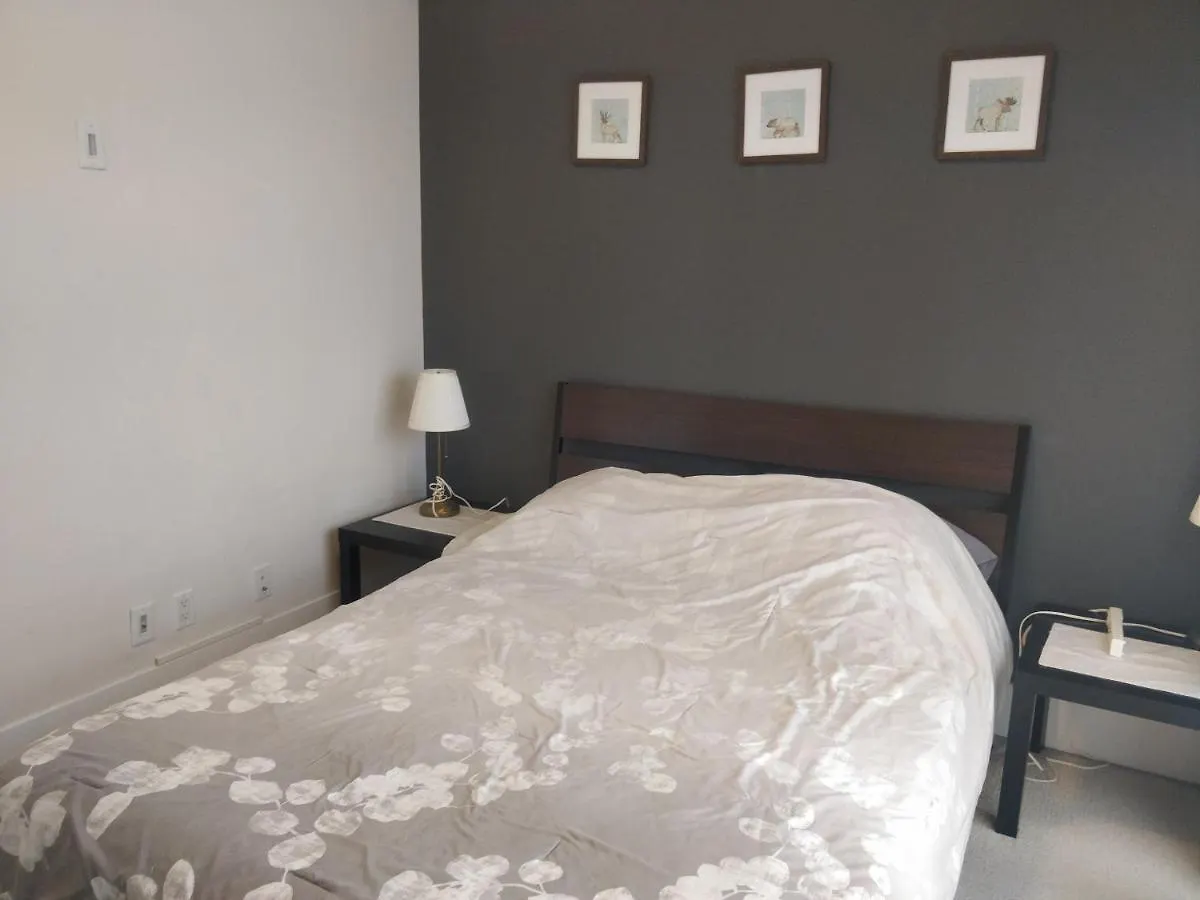 Entertainment District, Downtown Toronto - 300 Front 1 Bed 1 Bath, City View Lejlighed